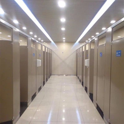 18mm Azzar Galvanizzat Toilet Cubicle